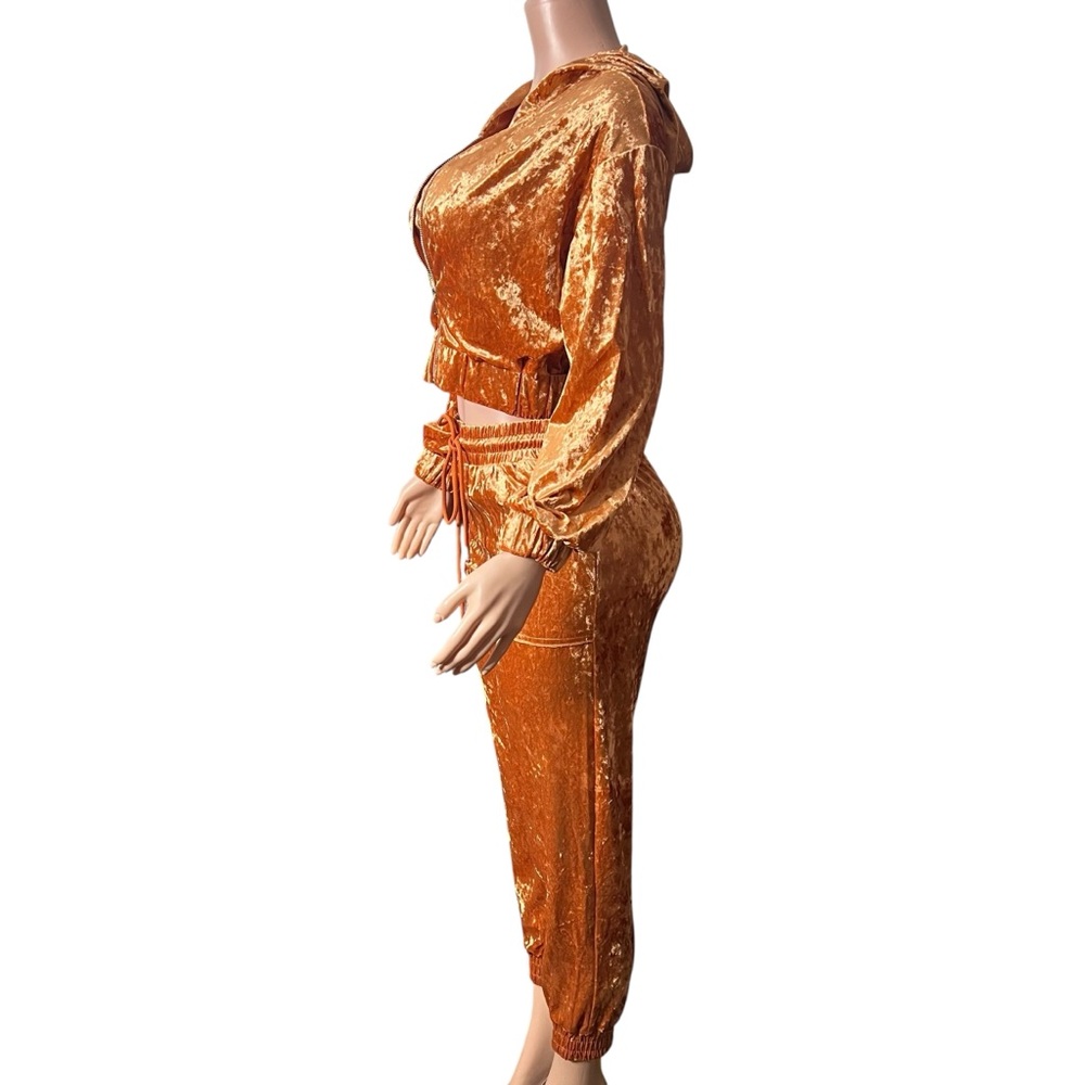 Velvet Gold Pantsuit - Picture 6 of 7